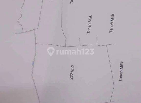 ZZZZ SUSUSUPER DEAL FOR SALE LOSS SUNGAI LAND LOCATION GLOGOR LODTUNDUH UBUD GIANYAR
 2