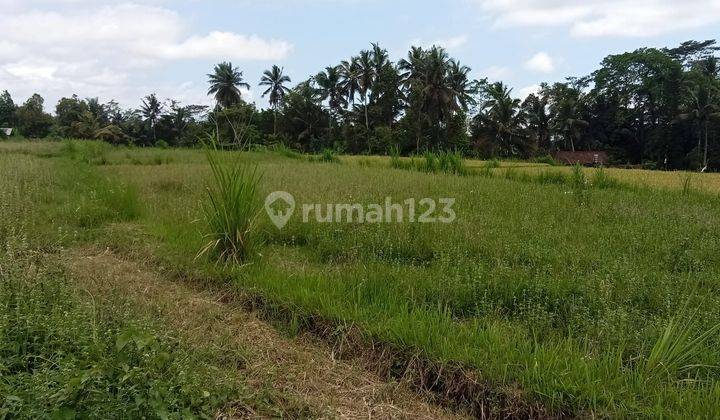 PASTI DEAL DI JUAL TANAH VIEW SAWAH & HUTAN LOKASI PEJENG UBUD GIANYAR
 1