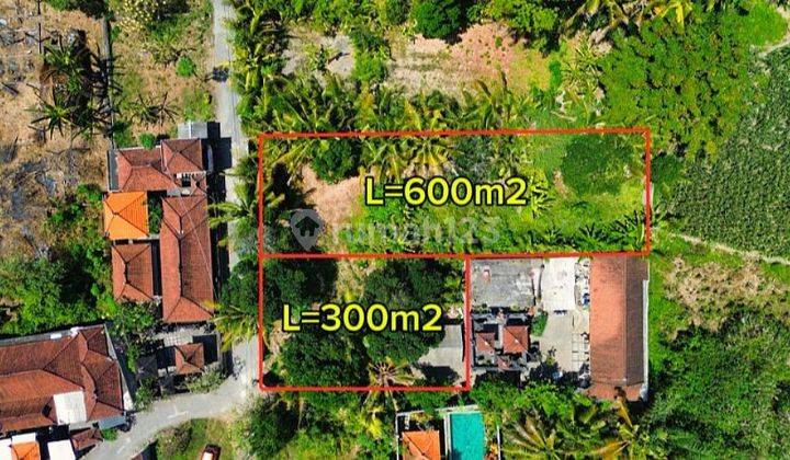 ZZZZ SUSUSUSUPER DEAL DI JUAL TANAH LOKASI SABA BLAHBATUH GIANYAR 1