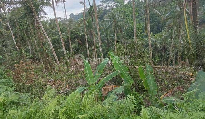 SURE DEAL FOR SALE LAND VIEW FOREST FIELD & RIVER LOCATION VEHICLE UBUD GIANYAR 1