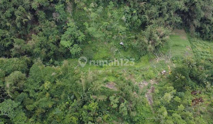 CERTAINLY CERTAINLY AND CERTAINLY FOR SALE LAND IN JATILUWIH PENEBEL TABANAN LOCATION 1