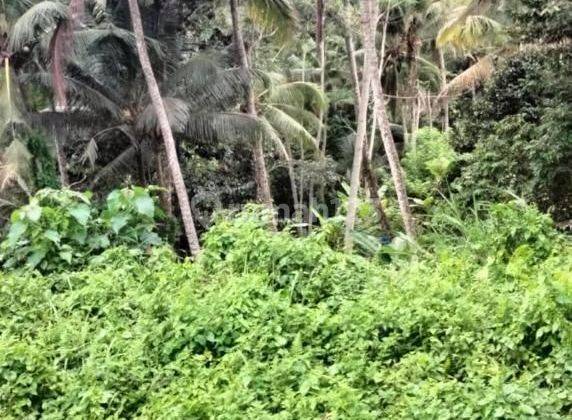 SUSUSUPER DEAL FOR SALE LAND LOCATION BRESELA PAYANGAN UBUD GIANYAR 2