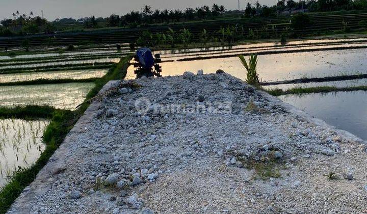 PASTI DEAL DI JUAL TANAH VIEW SAWAH LOKASI NYANYI BERABAN TABANAN  1