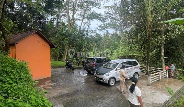 SURE DEAL ON LAND FOR SALE LOCATION TEGALLALANG UBUD GIANYAR 1