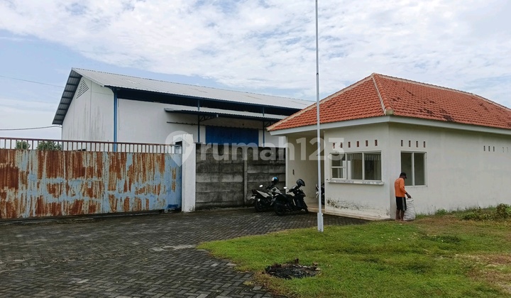 Gudang Siap Pakai Patian Rowo Nganjuk Gudang Siap Pakai Patian Rowo Nganjuk