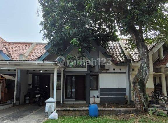 Rumah Sewa Murah Di Alam Sutera Sistem Cluster