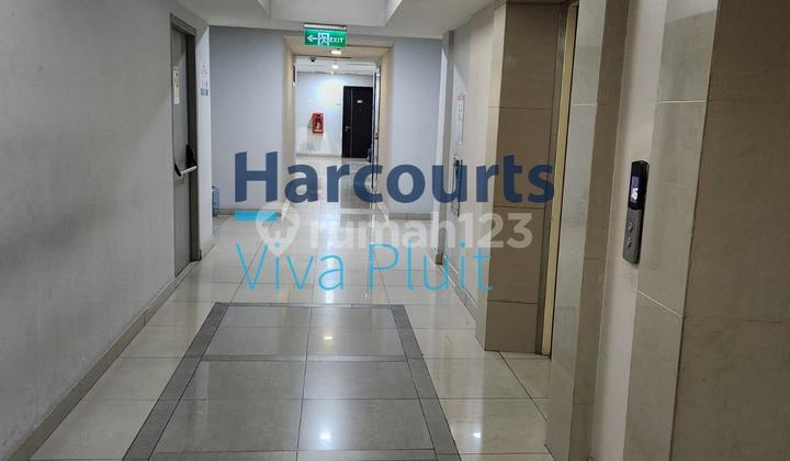 Disewakan Apartemen Cbd Pluit