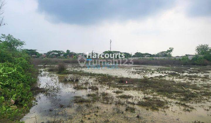 Tanah Blok Asem Gede, Pangenan, Cirebon. Harga Murah Bawah Pasar  1