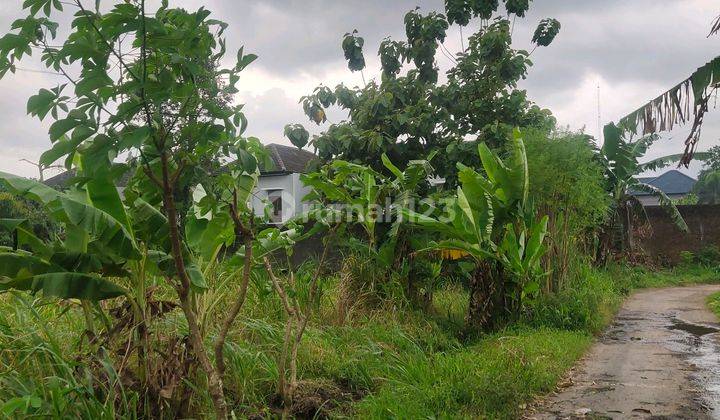 Tanah Dikontrakkan Area Palagan View Sawah Cck Untuk Usaha Villa Atau Coffe Shop 1