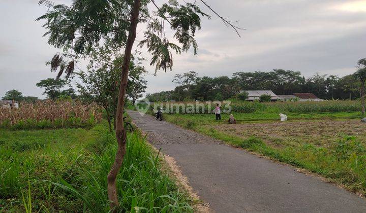 TANAH MURAH NGAGLIK UTARA GITO GATI PALAGAN 2