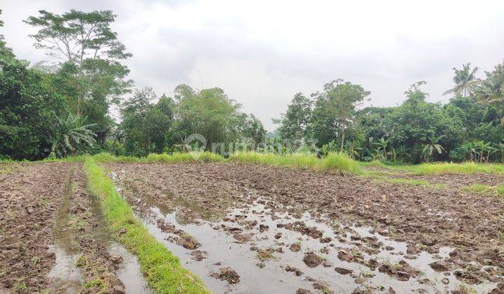TANAH DIKONTRAKKAN DI JL GITO GATI PALAGAN SCH SLEMAN 3