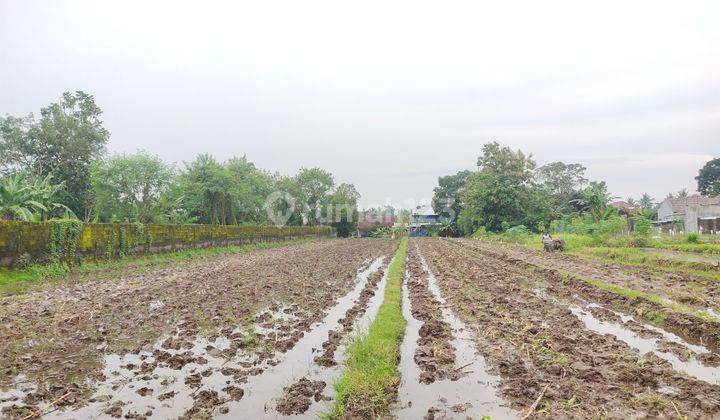 TANAH DIKONTRAKKAN DI JL GITO GATI PALAGAN SCH SLEMAN 4