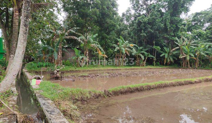 TANAH DIKONTRAKKAN DI JL GITO GATI PALAGAN SCH SLEMAN 5