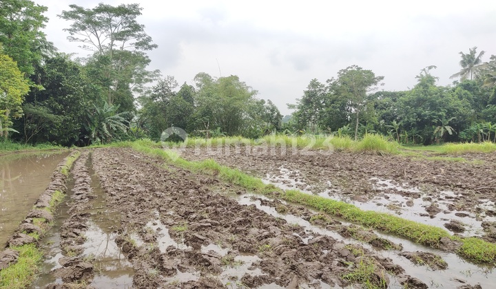 TANAH DIKONTRAKKAN DI JL GITO GATI PALAGAN SCH SLEMAN 6