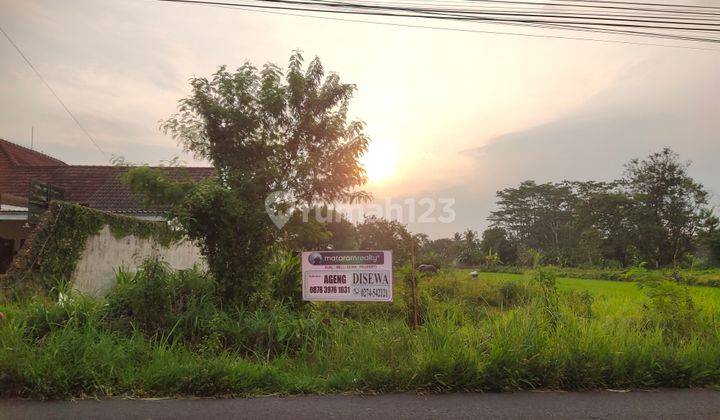 TANAH ISTIMEWA PALAGAN CCK RESTORAN CAFE PLAYGROUND  1