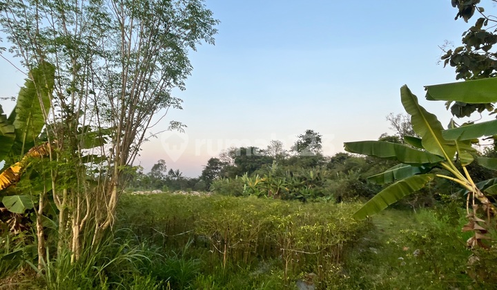 Tanah Luas Murah Strategis View Sawah Cocok Padel/villa/cafe/resto Di Palagan Dkt Hyatt & Kota Jogja Tanah Luas Murah Strategis View Sawah Cocok Padel/villa/cafe/resto Di Palagan Dkt Hyatt & Kota Jogja