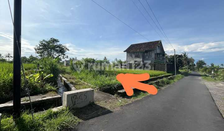 Tanah View Gunung Dan Sawah Di Jakal Km 10 Sleman Tanah di Ngaglik SHM 226.0