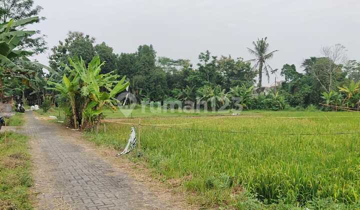 Tanah Luas Murah Cocok Villa/kost / Kantor/gudang Area Gito Gati Dkt Ke Mall Sch & Pemda Sleman Tanah Luas Murah Cocok Villa/kost / Kantor/gudang Area Gito Gati Dkt Ke Mall Sch & Pemda Sleman