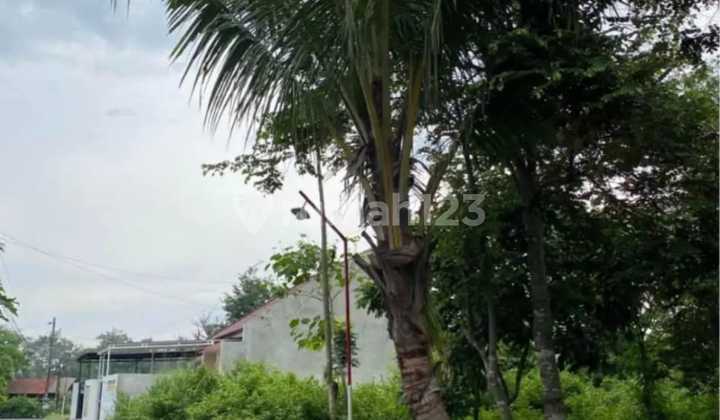 Tanah Murah Dijual Cepat Area Maguwoharjo Dkt Rs Hermina & Pasar Stan