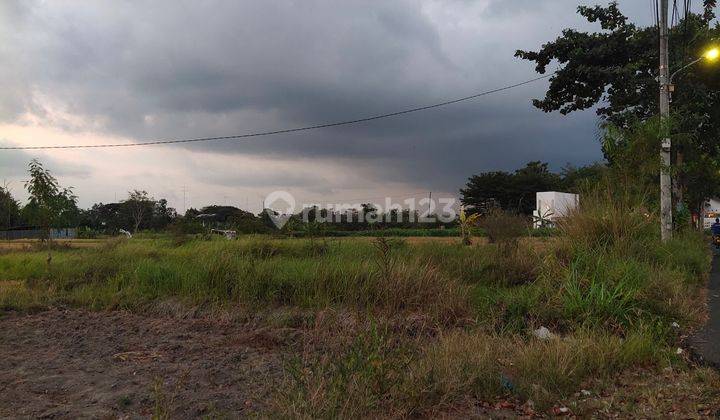 TANAH DIKONTRAKKAN MURAH DI PALAGAN NGAGLIK SLEMAN 1