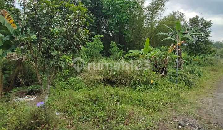 Tanah Murah Cocok Investasi Kost Di Selatan Kampus Uii Tanah Murah Cocok Investasi Kost Di Selatan Kampus Uii