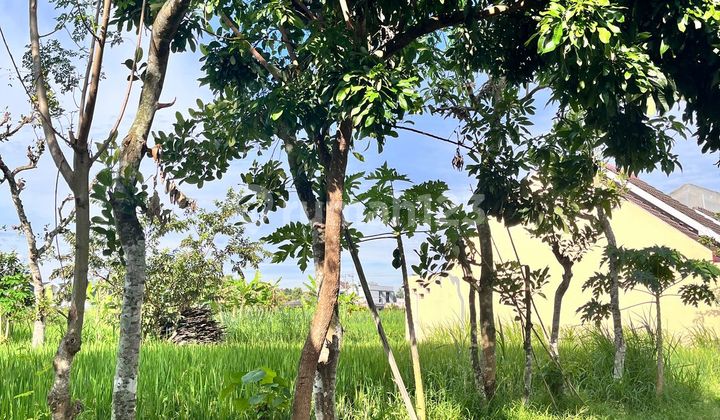 Tanah Murah Dalam Cluster Perumahan Area Gito Gati Dkt Mall Sch & Pemda Sleman