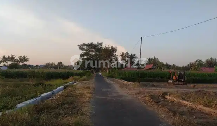 Tanah Murah Area Jl Palagan Ngaglik Sleman Cck Perumahan Atau Villa 