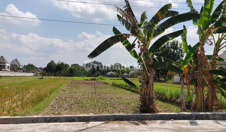 TANAH LUAS MURAH CCK GUDANG PERUMAHAN 3000 M2 2