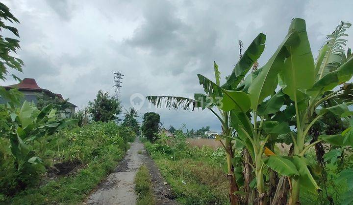 Tanah Dikontrakkan Area Palagan View Sawah Cck Untuk Usaha Villa Atau Coffe Shop 2