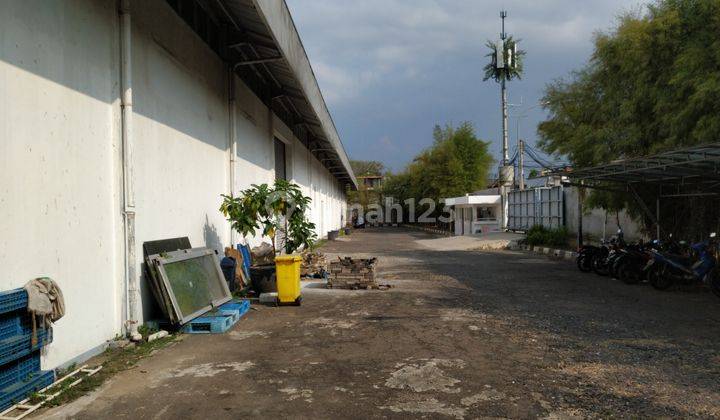 Gudang Muara Baru ,harga Nego 11