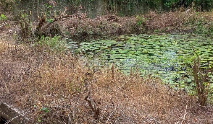 Rumah Burung,lampung Selatan,harga Nego 3