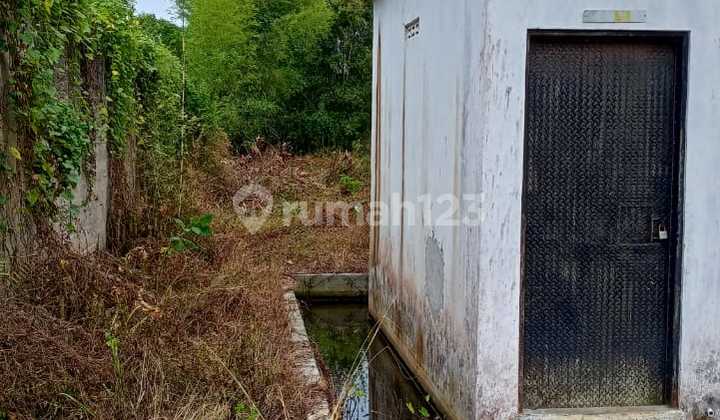 Rumah Burung,lampung Selatan,harga Nego 4