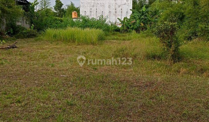 Rumah Burung,lampung Selatan,harga Nego 1