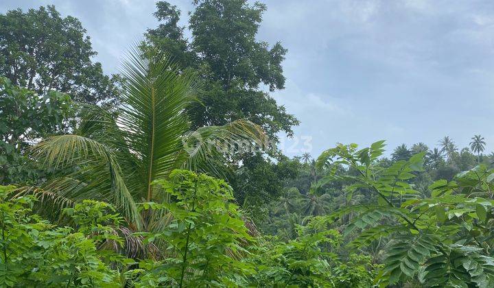 Tanah Desa Teglmengkeb Tabanan Daerahakomudasi Wisata Dwkat Dgn Pantai Dan Dgn View Samudra India 2