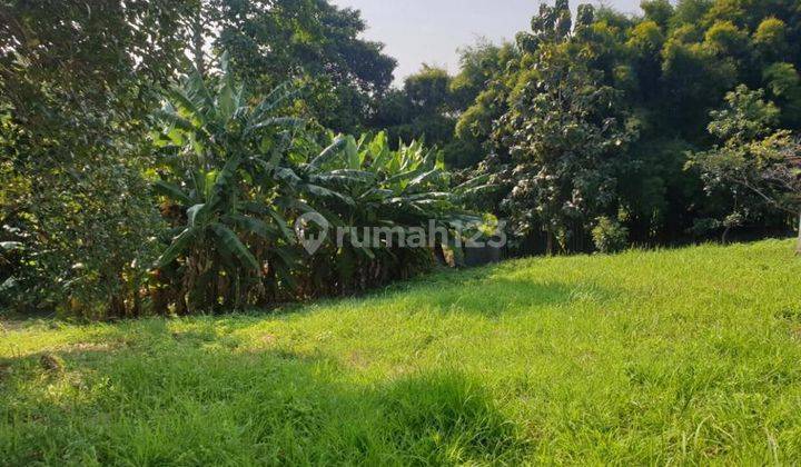 Cocok Untuk Usaha Dan Rumah, Tanah Luas 5000 Meter Di Semarang 2