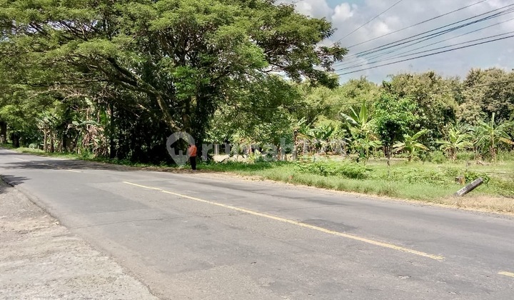 0 Jalan Provinsi Perbatasan Jawa Timur - Jawa Tengah