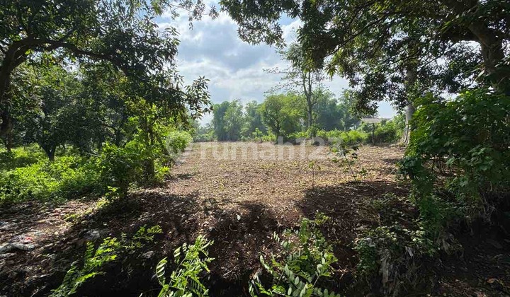 Tanah di Pandaan Sblh Kebun Mangga