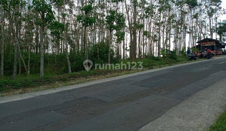 Tanah Kebon Jati Luas Strategis di Kabupaten Garut 2