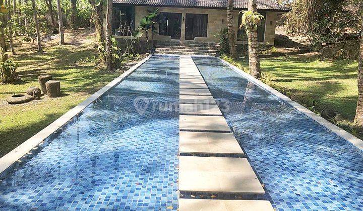Dijual Vila Bali Villa Dewa Jl Ciwa Perkutatan, Jembrana 7