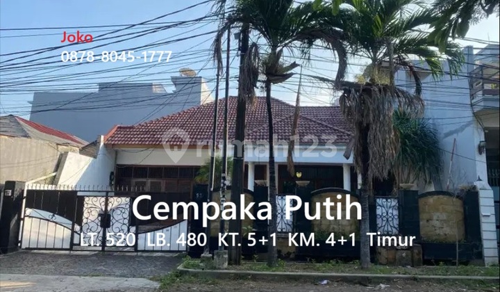Rumah Asri Jl. Cempaka Putih Tengah, dkt RS Islam, Cempaka Putih 1