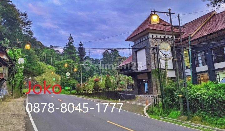 Hotel Bintang 4 T E R M U R A H Dgn 116 Kamar di Puncak, Bogor 2