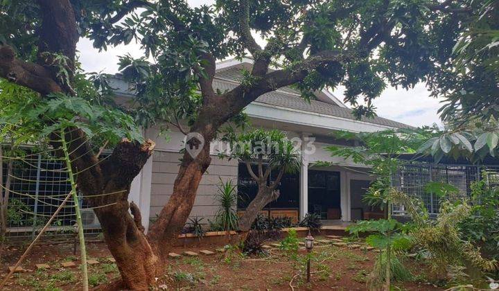 Disewakan Cepat Rumah Luas Strategis Di Kebayoran Lama Jakarta  1