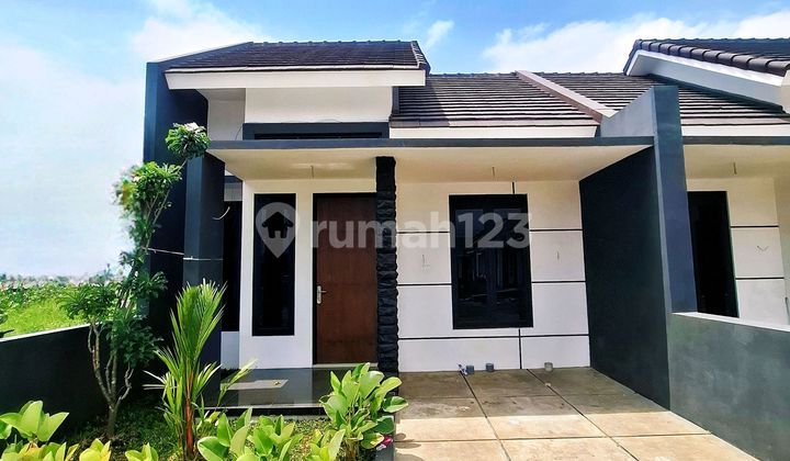 Rumah Siap Huni Bandulan – Dekat Mog, Ub, Dan Alun-alun Malang! Rumah Siap Huni Bandulan – Dekat Mog, Ub, Dan Alun-alun Malang!