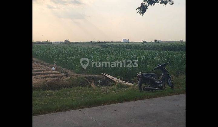 Dijual Tanah Industri Di Cirebon Jawa Barat Dekat Jalan Besar 1