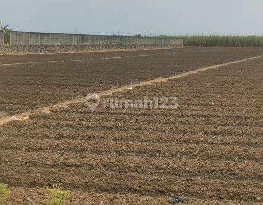 Tanah 20.000 m² Cirebon Siap Bangun 1