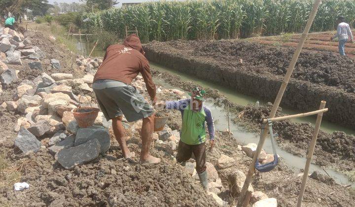 Tanah Cirebon Siap Bangun 20.000 m² 1