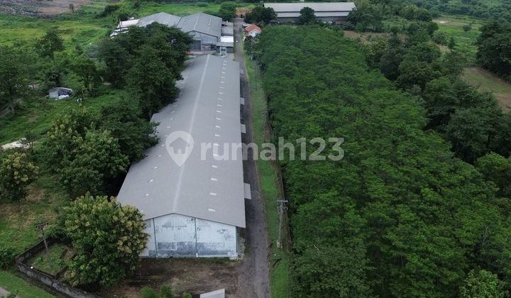 Cheapest Warehouse with Land Calculation in Ngoro Mojokerto, 40-Foot Container Access