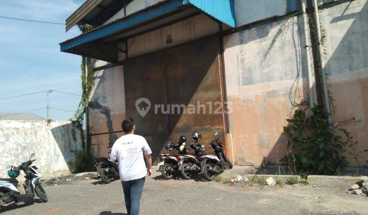 Gudang SHM Dekat Margomulyo Di Tambak Langon Surabaya 1