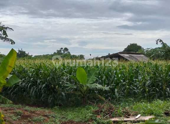 Premium Land Location Slashing Prices Below Market Value