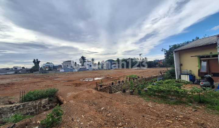 Cheap Land. Suitable for Cluster near Bintaro. Cheap Land. Suitable for Cluster near Bintaro.
